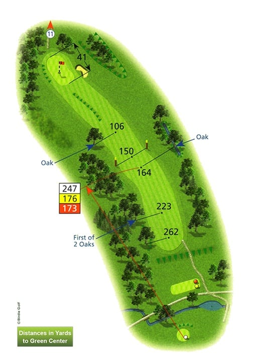 Course Planner Hole 10