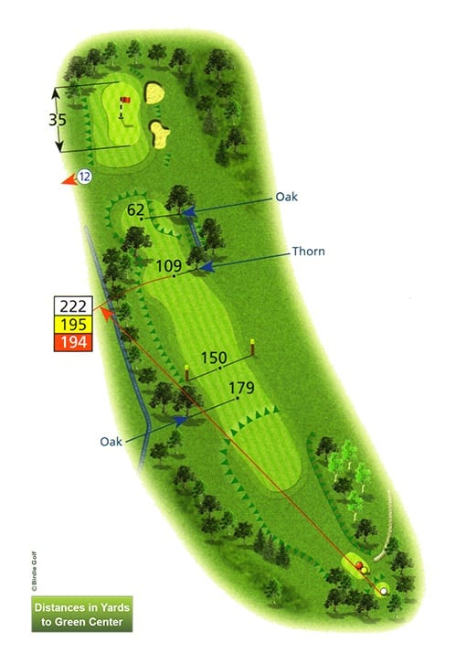 Course Planner Hole 11