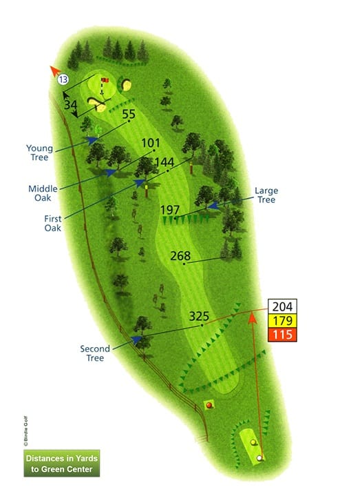 Course Planner Hole 12