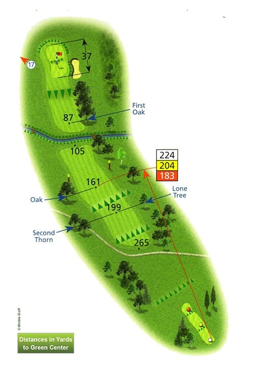 Course Planner Hole 16